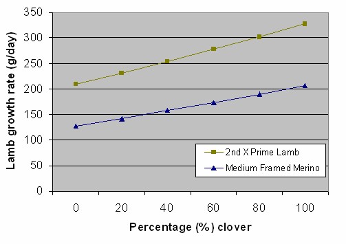 Relationship between clover % and lamb GR