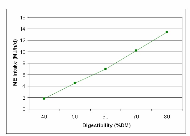 energy intake and ME