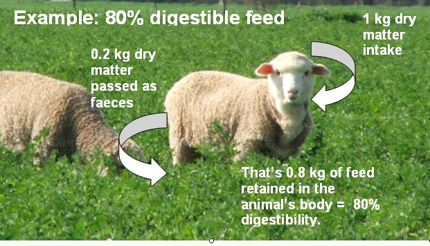 digestability of pastures
