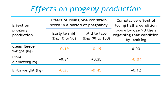 progeny effects due to ewe nutrition
